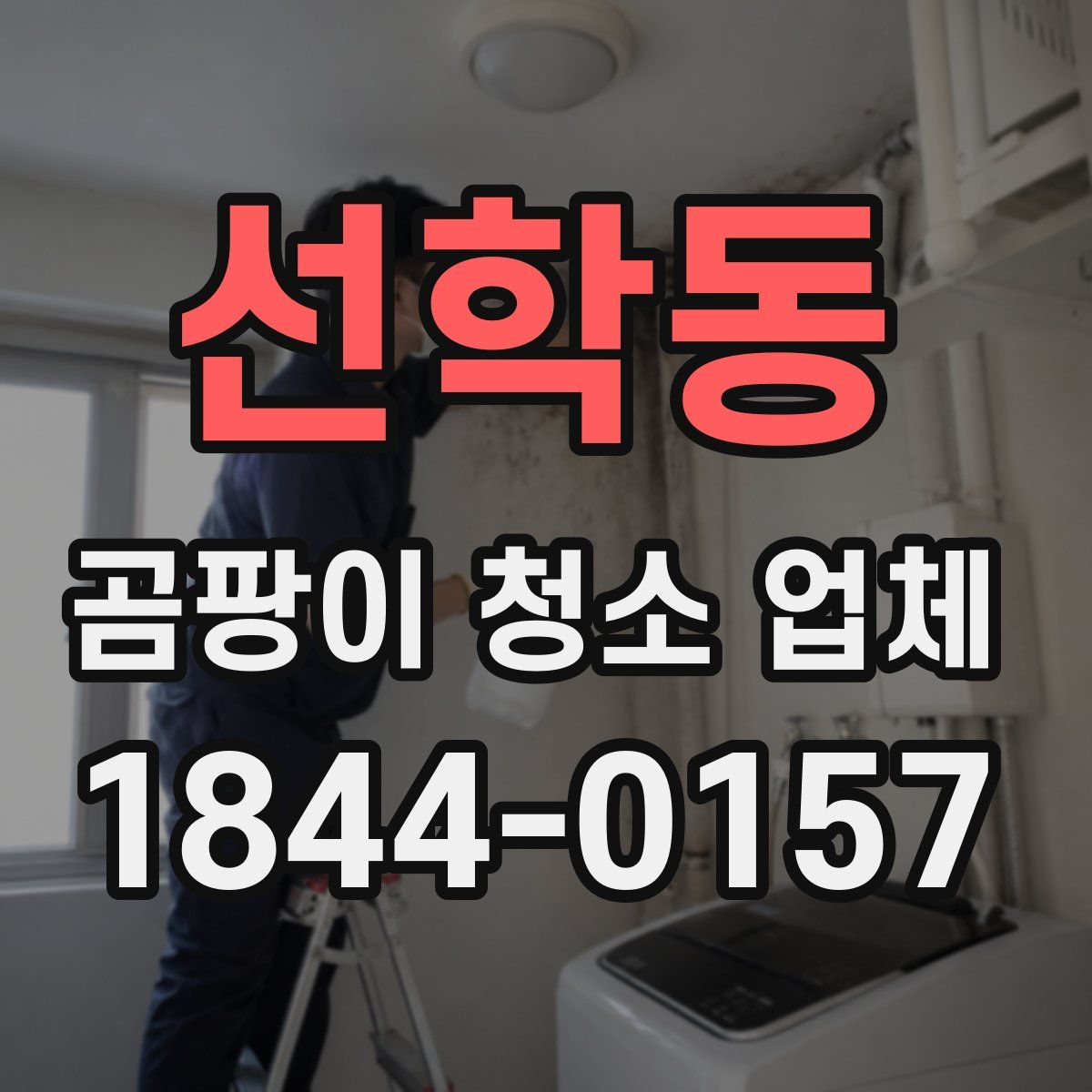 선학동 곰팡이 청소 업체