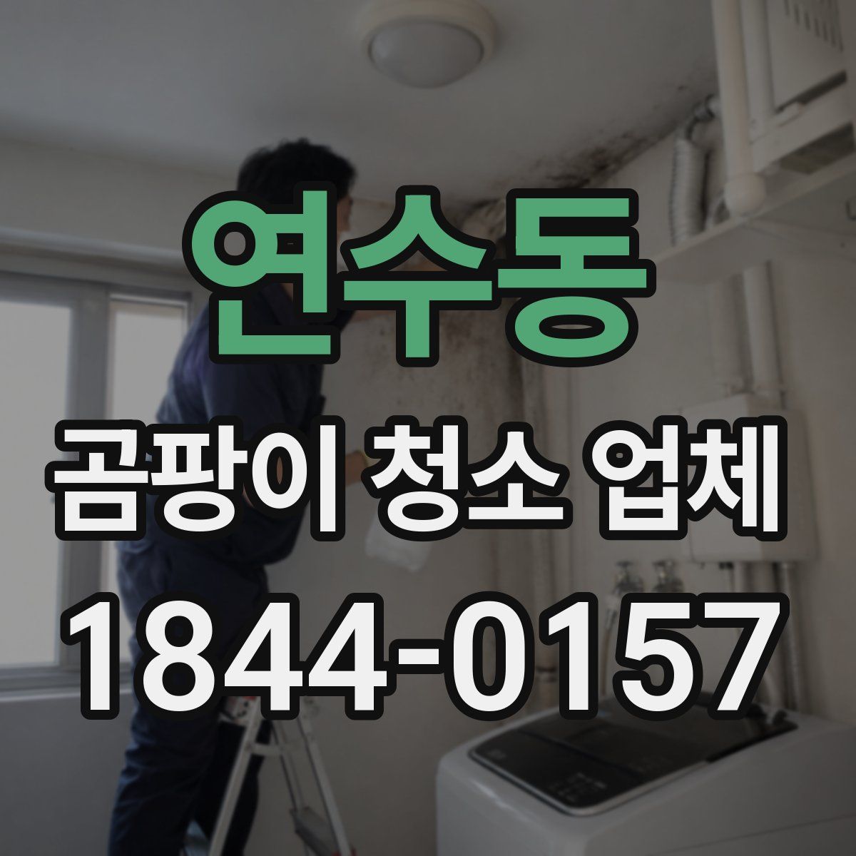 연수동 곰팡이 청소 업체