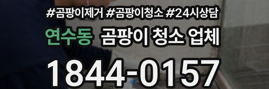 연수동 곰팡이 청소 업체
