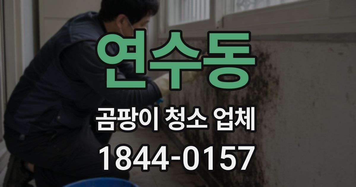 연수동 곰팡이 청소 업체