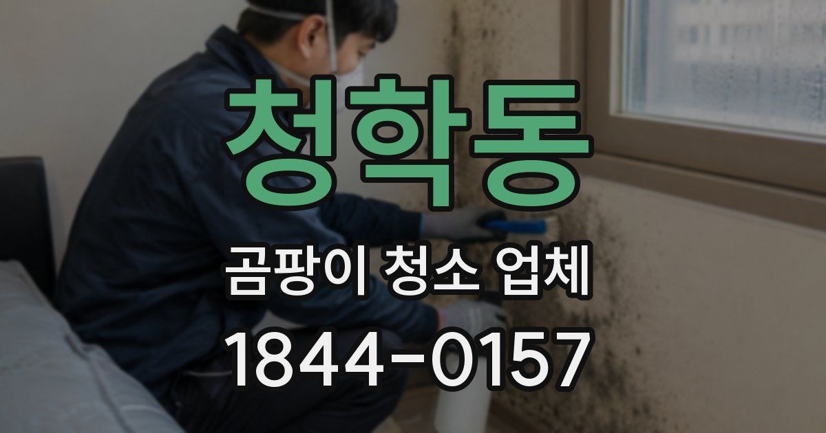 청학동 곰팡이 청소 업체