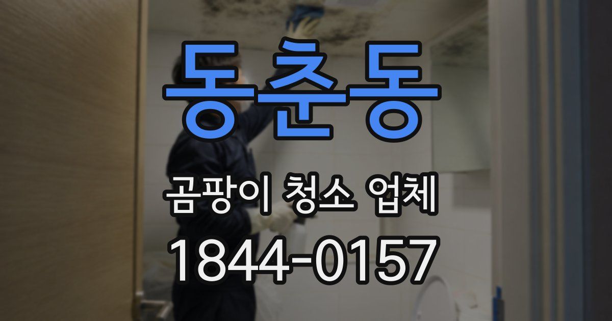 동춘동 곰팡이 청소 업체