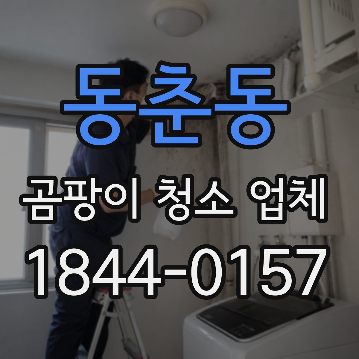 동춘동 곰팡이 청소 업체