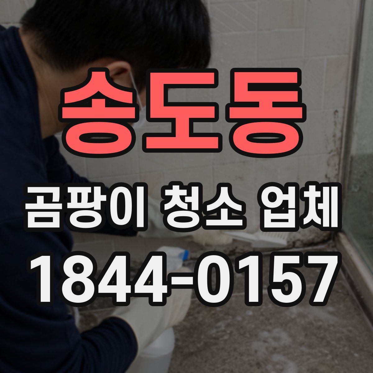 송도동 곰팡이 청소 업체