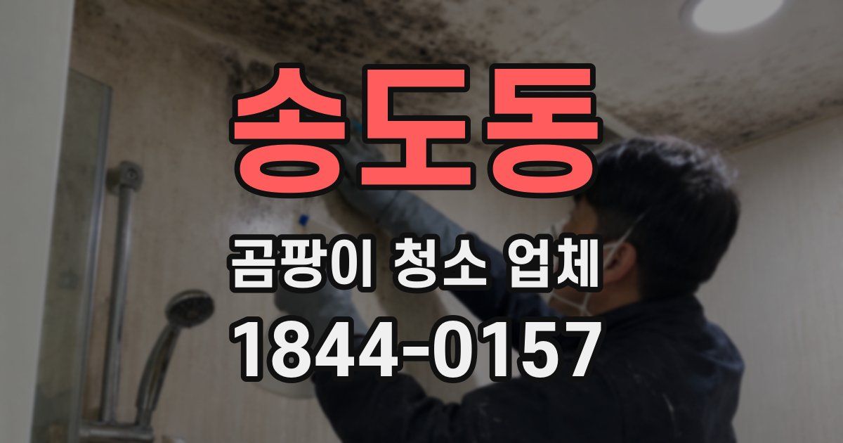 송도동 곰팡이 청소 업체