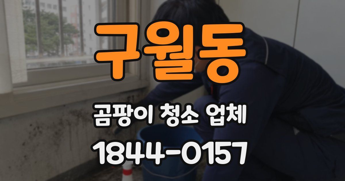 구월동 곰팡이 청소 업체