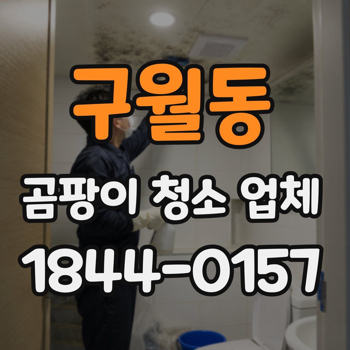 구월동 곰팡이 청소 업체