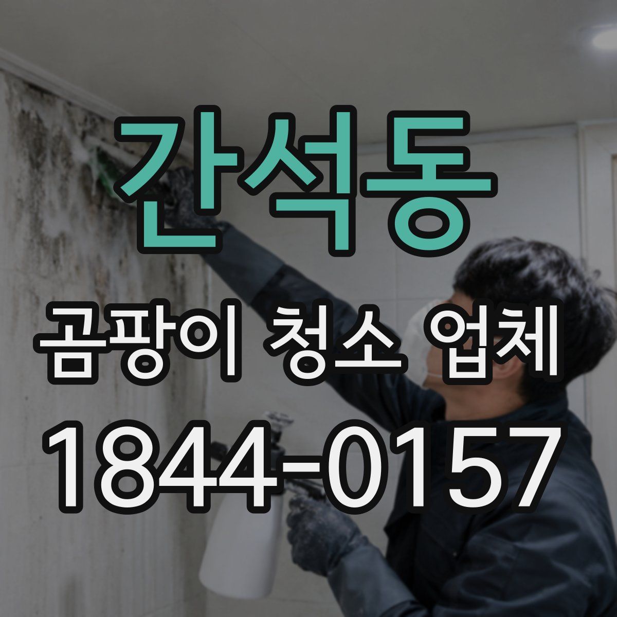 간석동 곰팡이 청소 업체