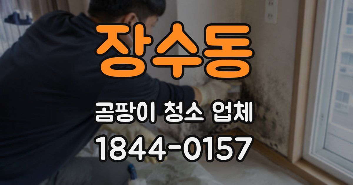 장수동 곰팡이 청소 업체