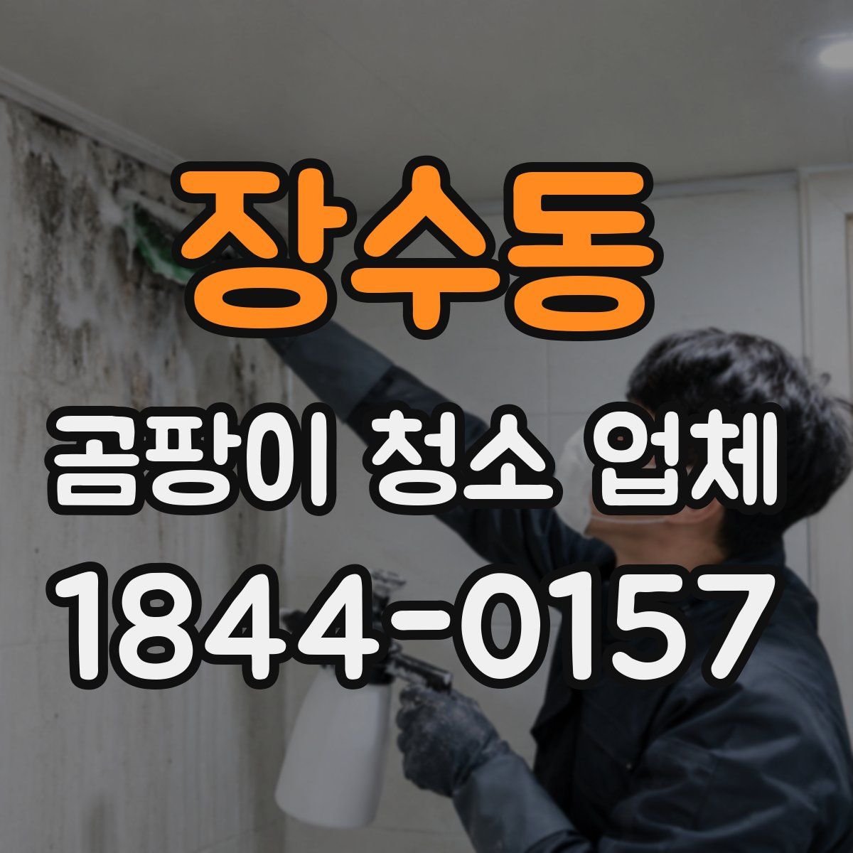 장수동 곰팡이 청소 업체