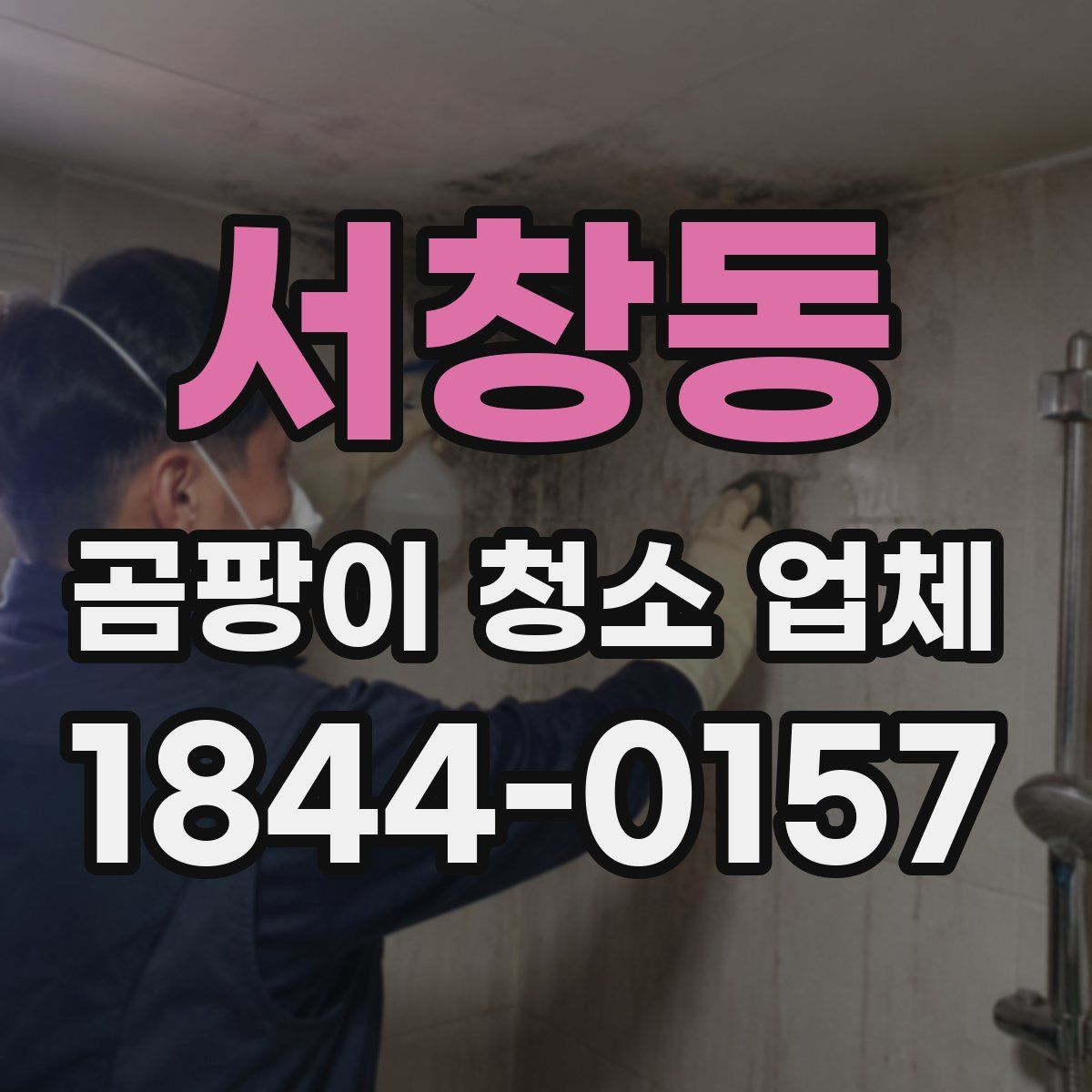 서창동 곰팡이 청소 업체