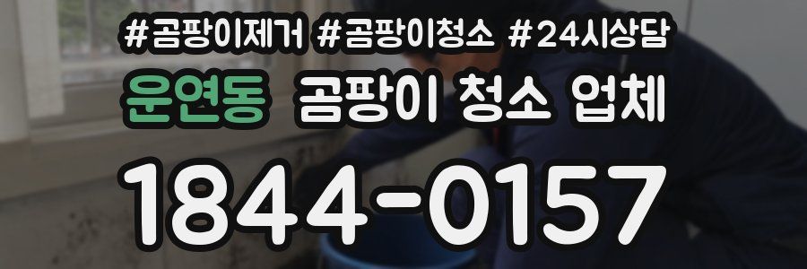 운연동 곰팡이 청소 업체