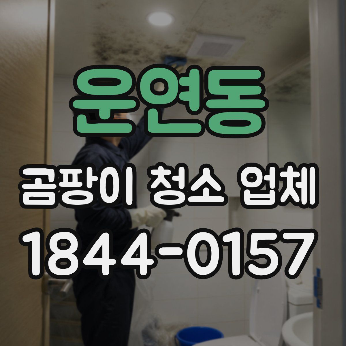 운연동 곰팡이 청소 업체