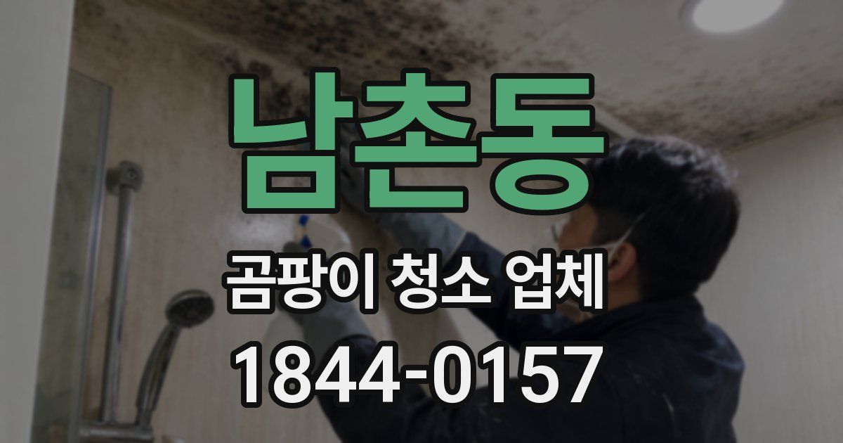 남촌동 곰팡이 청소 업체