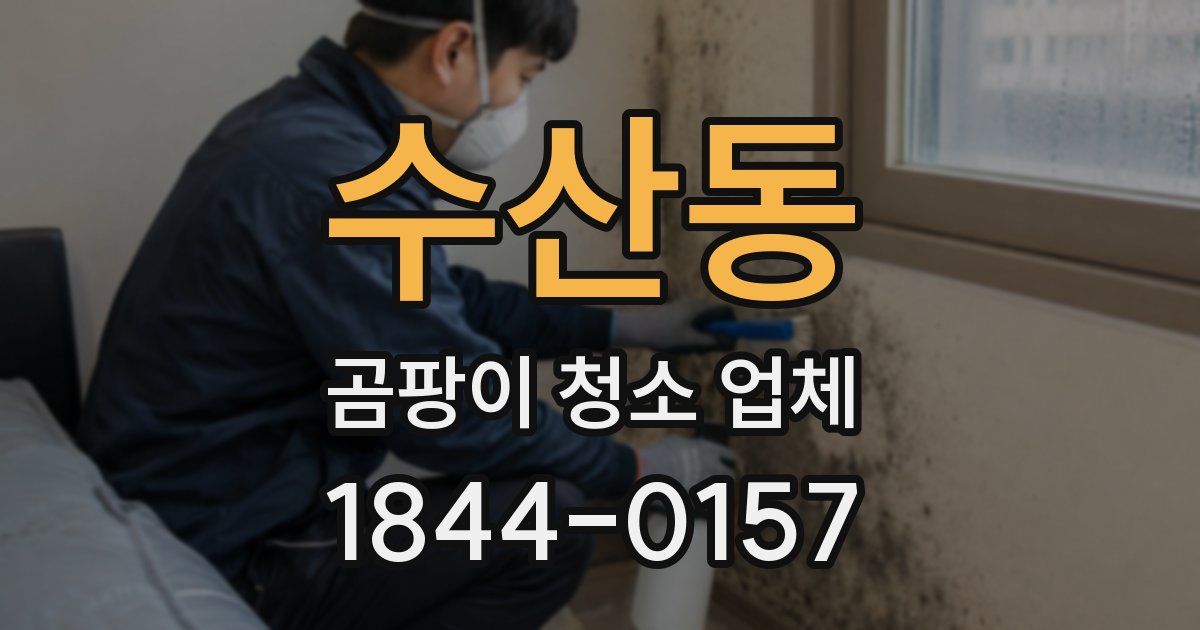 수산동 곰팡이 청소 업체
