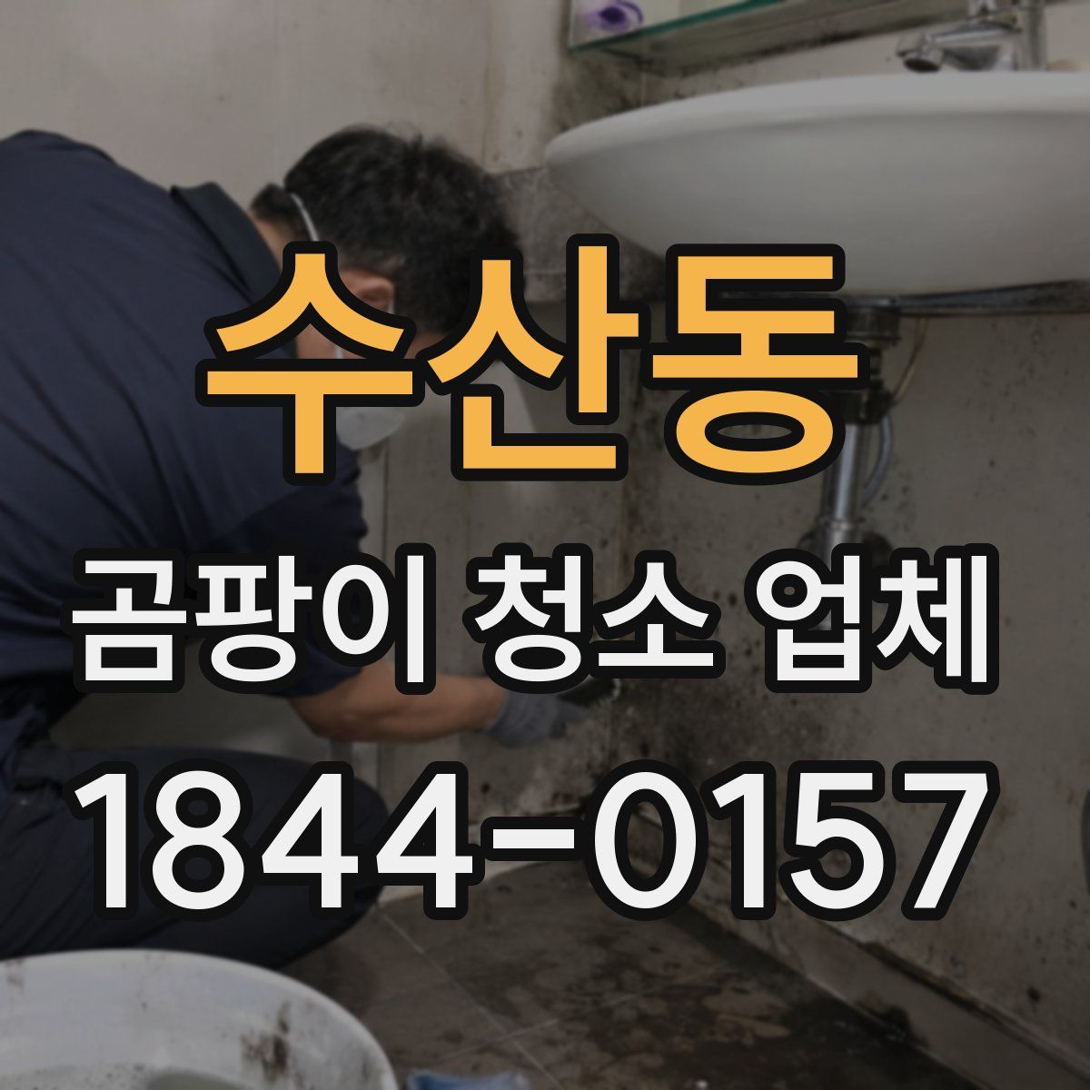 수산동 곰팡이 청소 업체