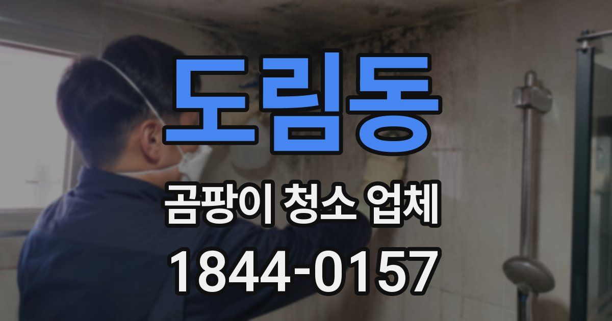도림동 곰팡이 청소 업체