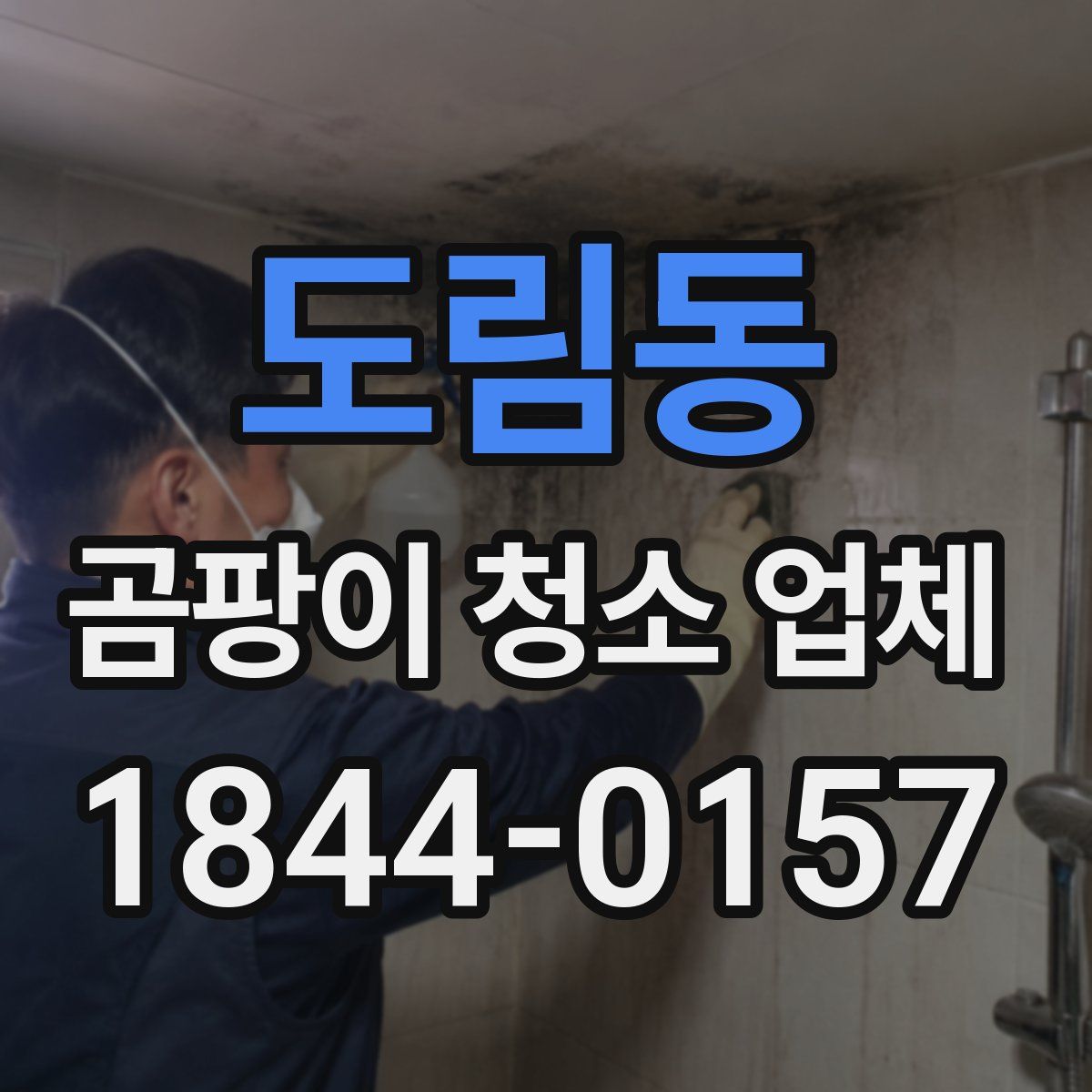 도림동 곰팡이 청소 업체