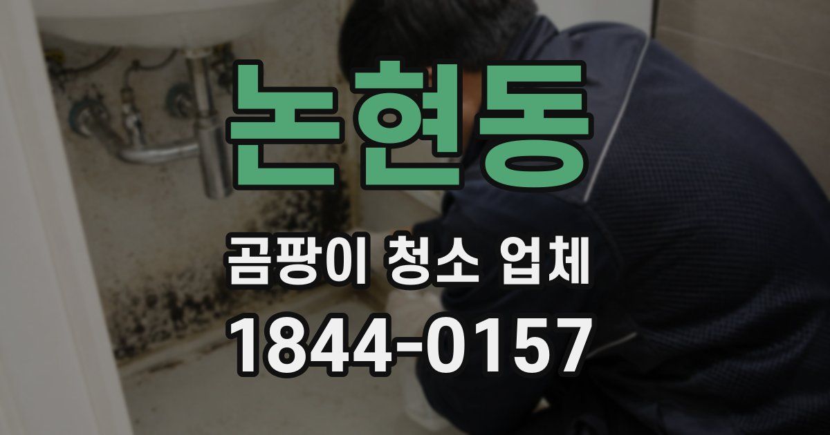 논현동 곰팡이 청소 업체