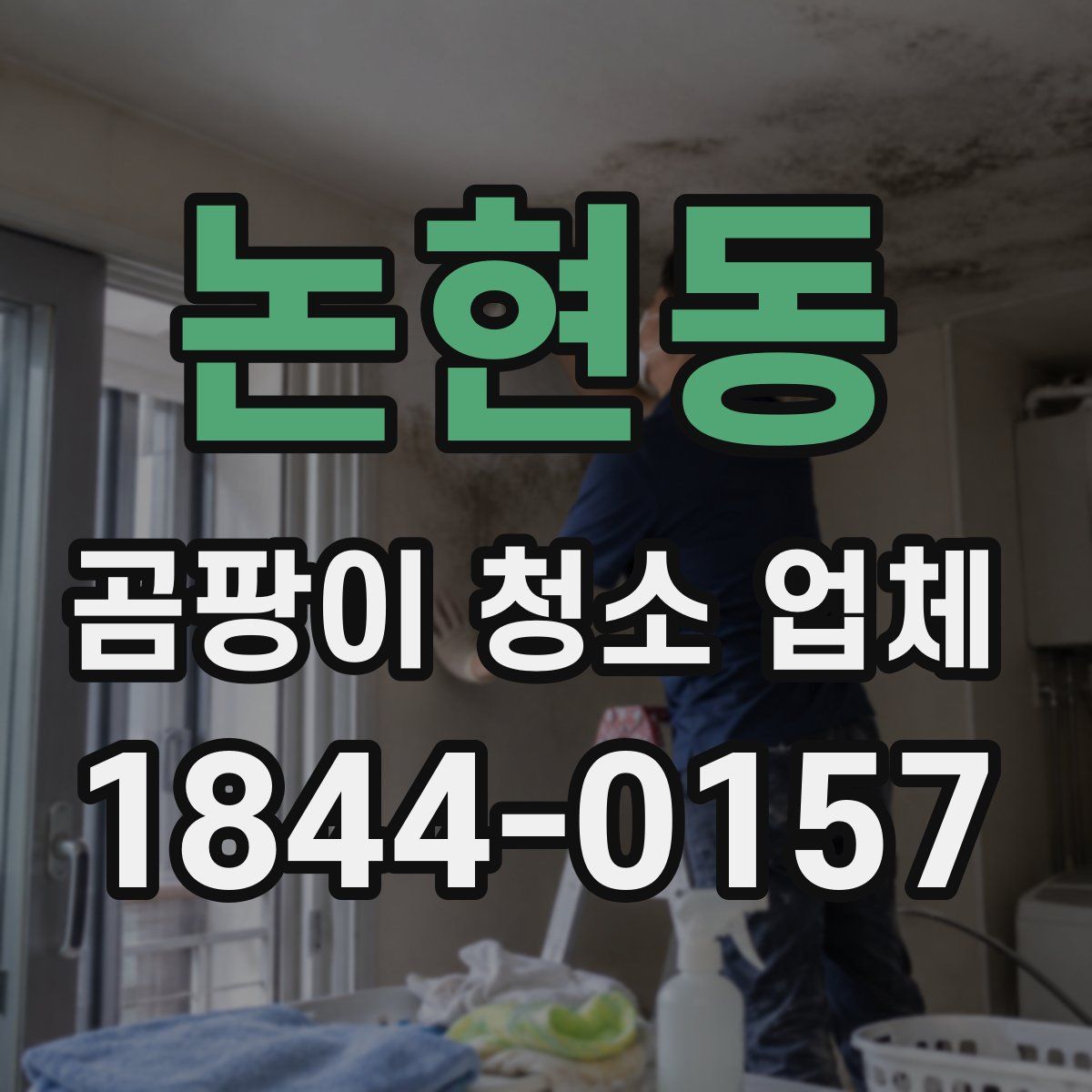 논현동 곰팡이 청소 업체