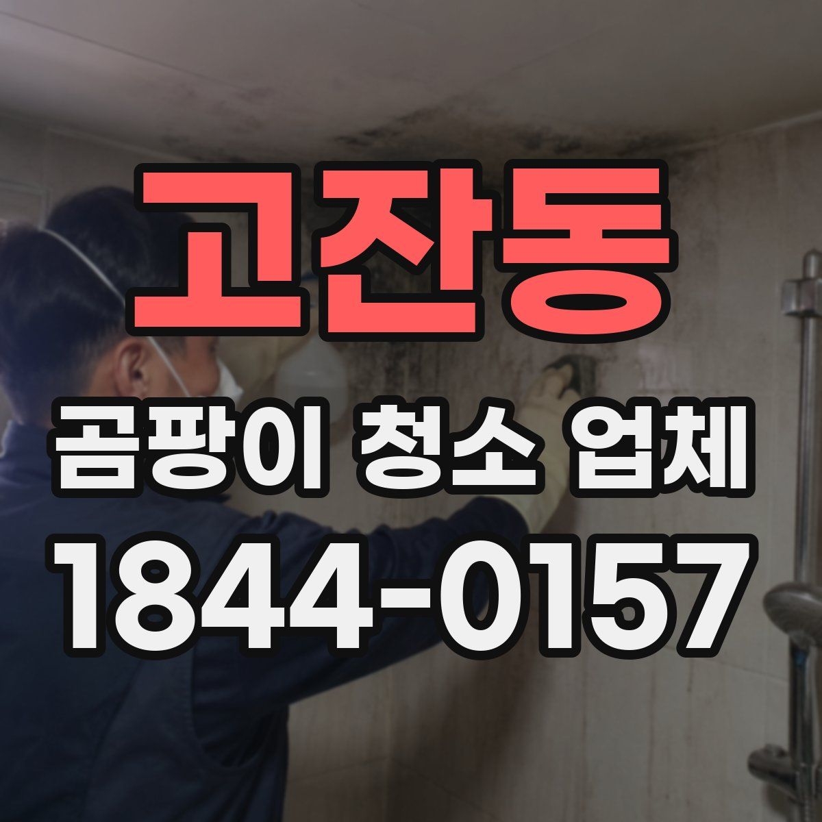 고잔동 곰팡이 청소 업체