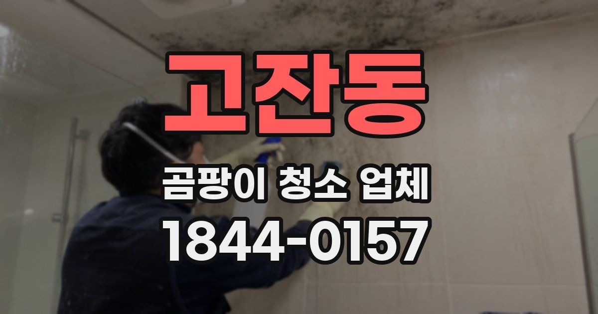 고잔동 곰팡이 청소 업체