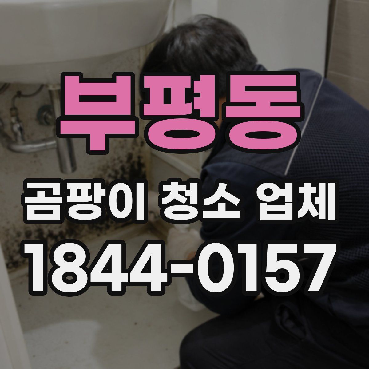 부평동 곰팡이 청소 업체