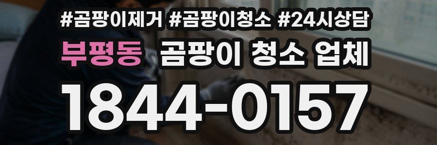 부평동 곰팡이 청소 업체