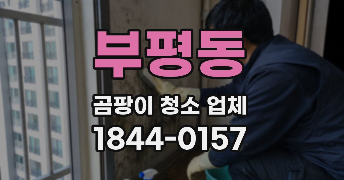 부평동 곰팡이 청소 업체