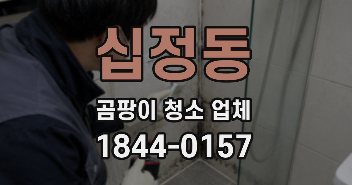 십정동 곰팡이 청소 업체