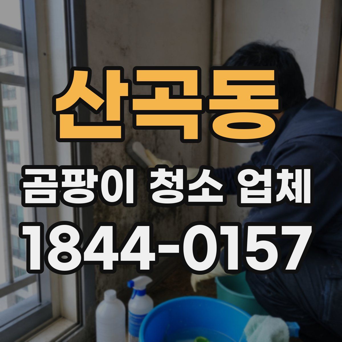 산곡동 곰팡이 청소 업체