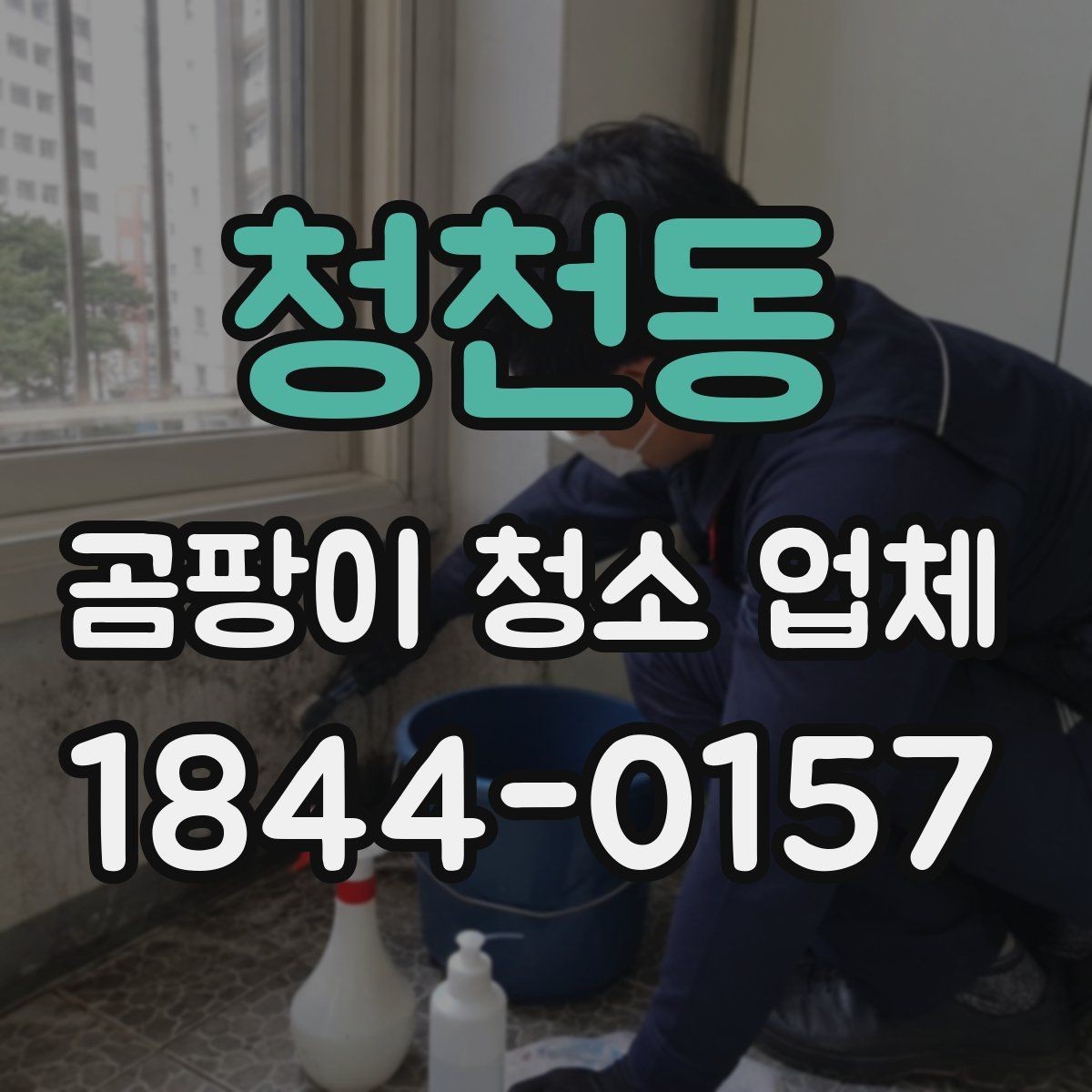 청천동 곰팡이 청소 업체 현장 진단으로 보는 오염 깊이