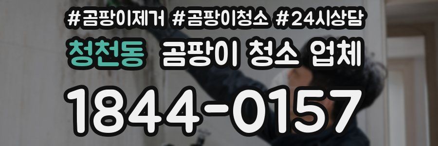 청천동 곰팡이 청소 업체