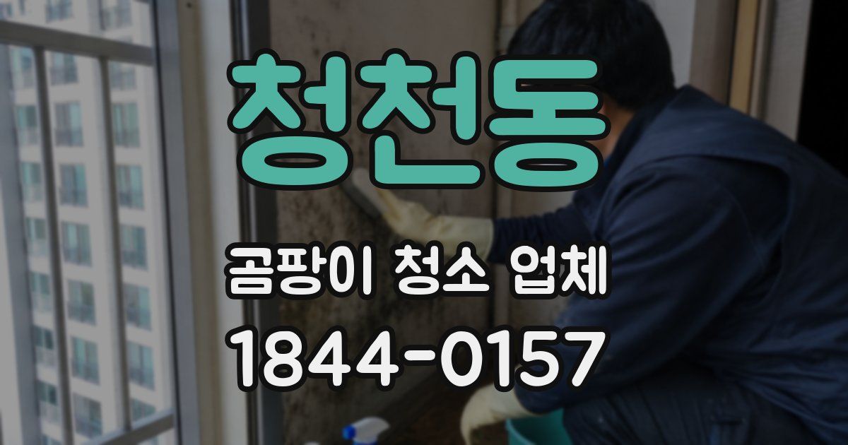 청천동 곰팡이 청소 업체