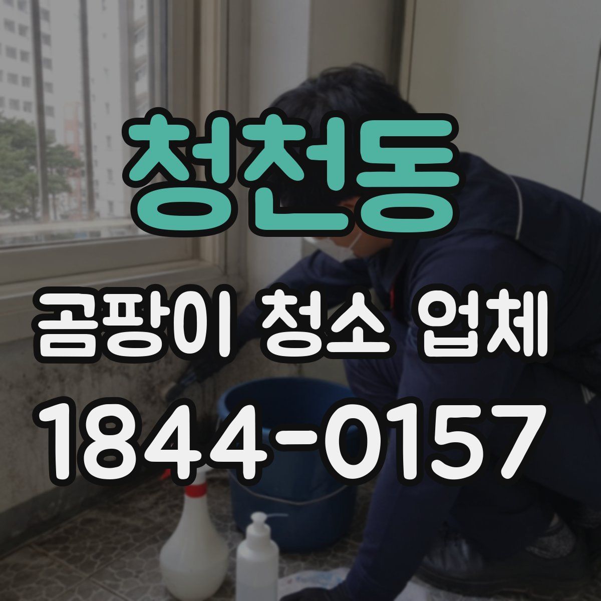 청천동 곰팡이 청소 업체