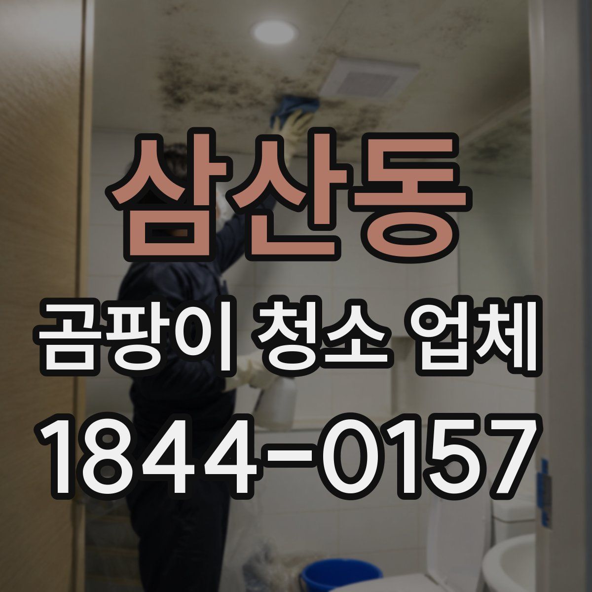 삼산동 곰팡이 청소 업체