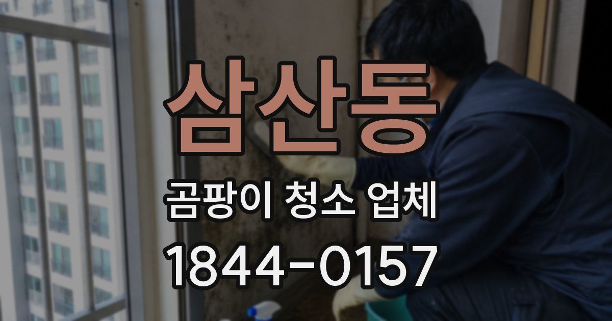 삼산동 곰팡이 청소 업체