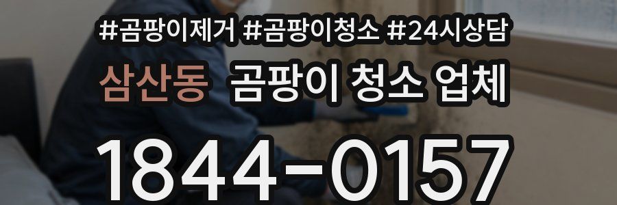 삼산동 곰팡이 청소 업체