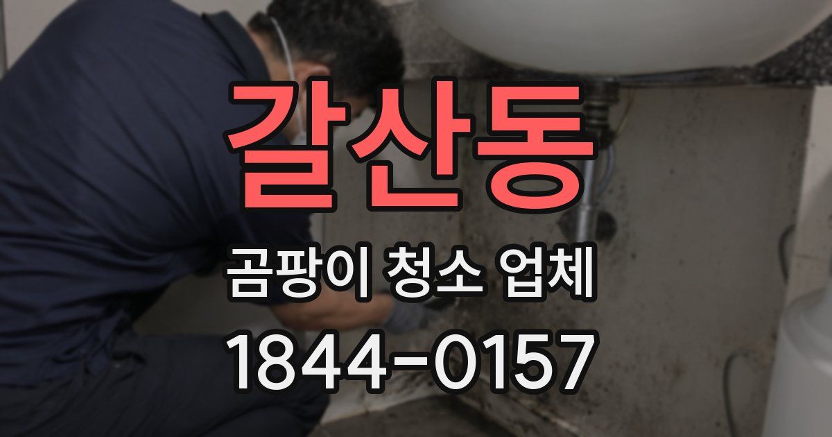 갈산동 곰팡이 청소 업체