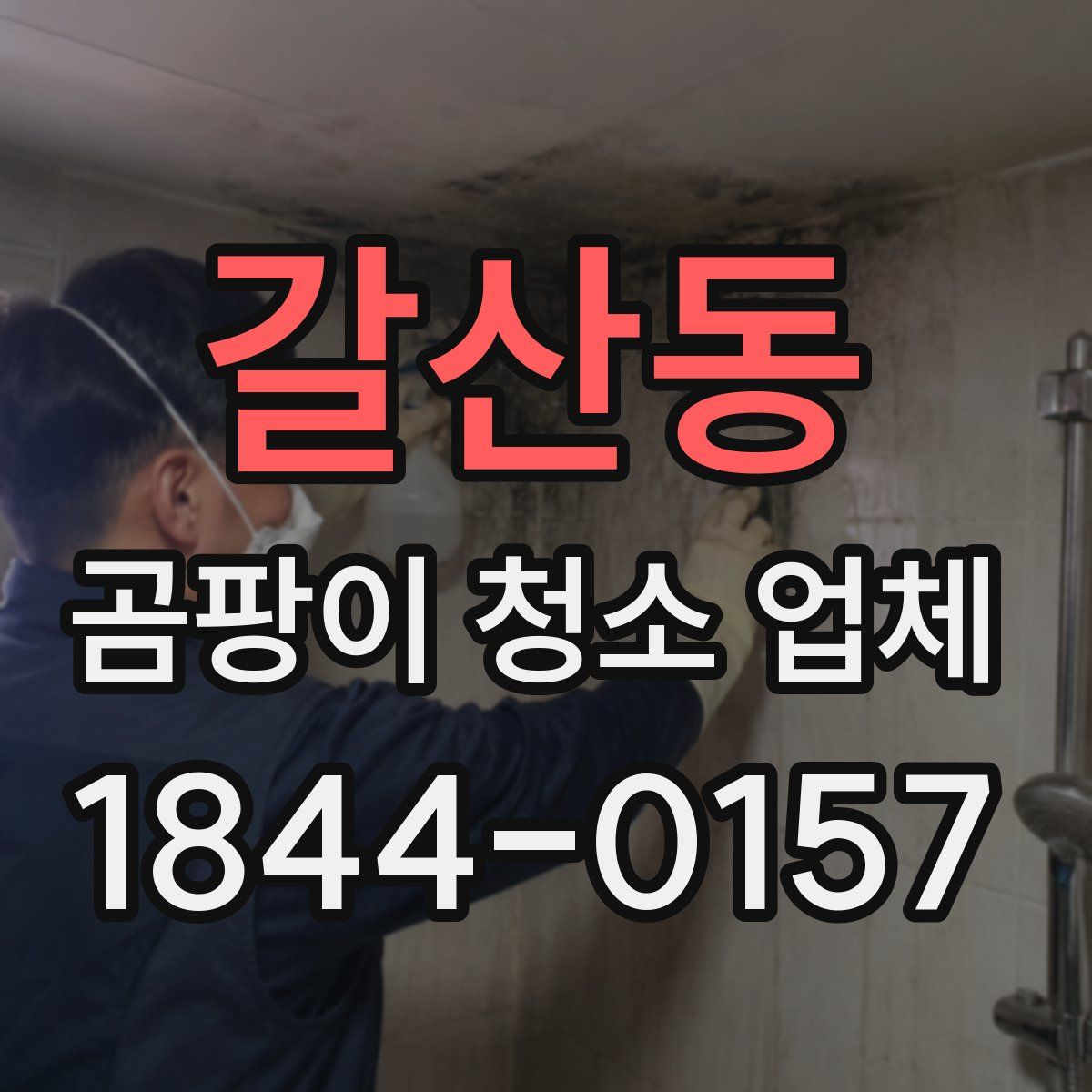 갈산동 곰팡이 청소 업체