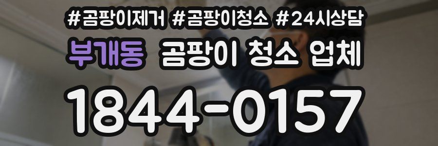부개동 곰팡이 청소 업체