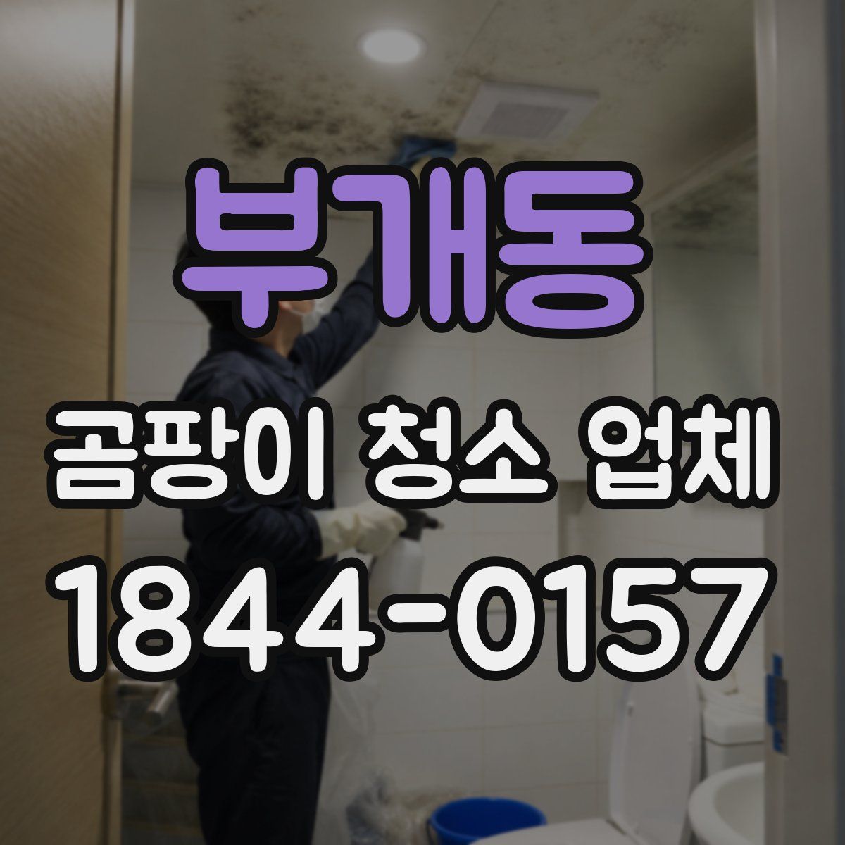 부개동 곰팡이 청소 업체