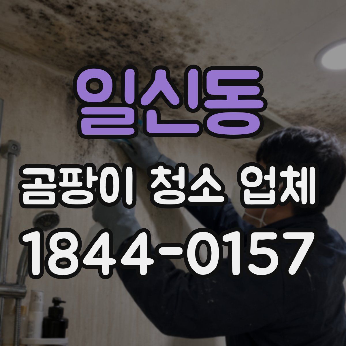 일신동 곰팡이 청소 업체