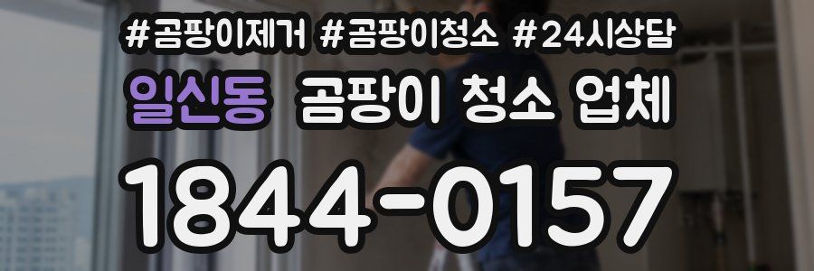 일신동 곰팡이 청소 업체