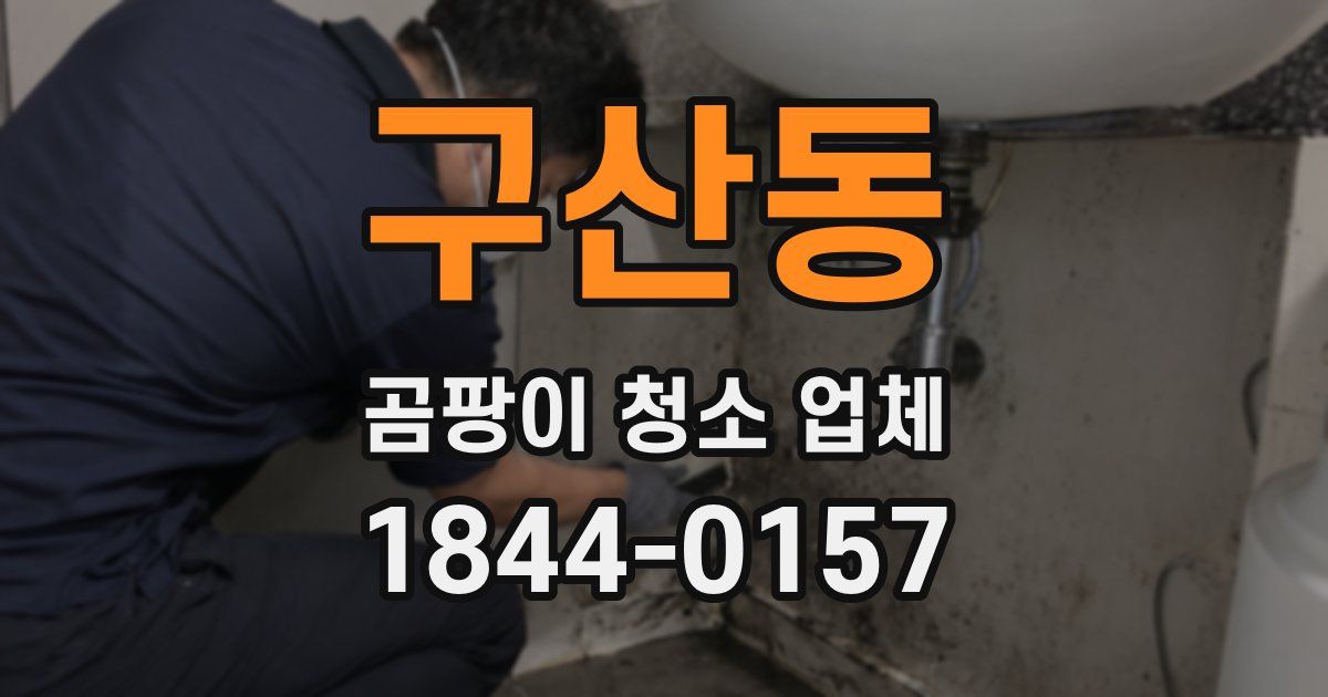 구산동 곰팡이 청소 업체