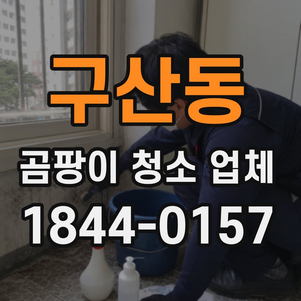 구산동 곰팡이 청소 업체