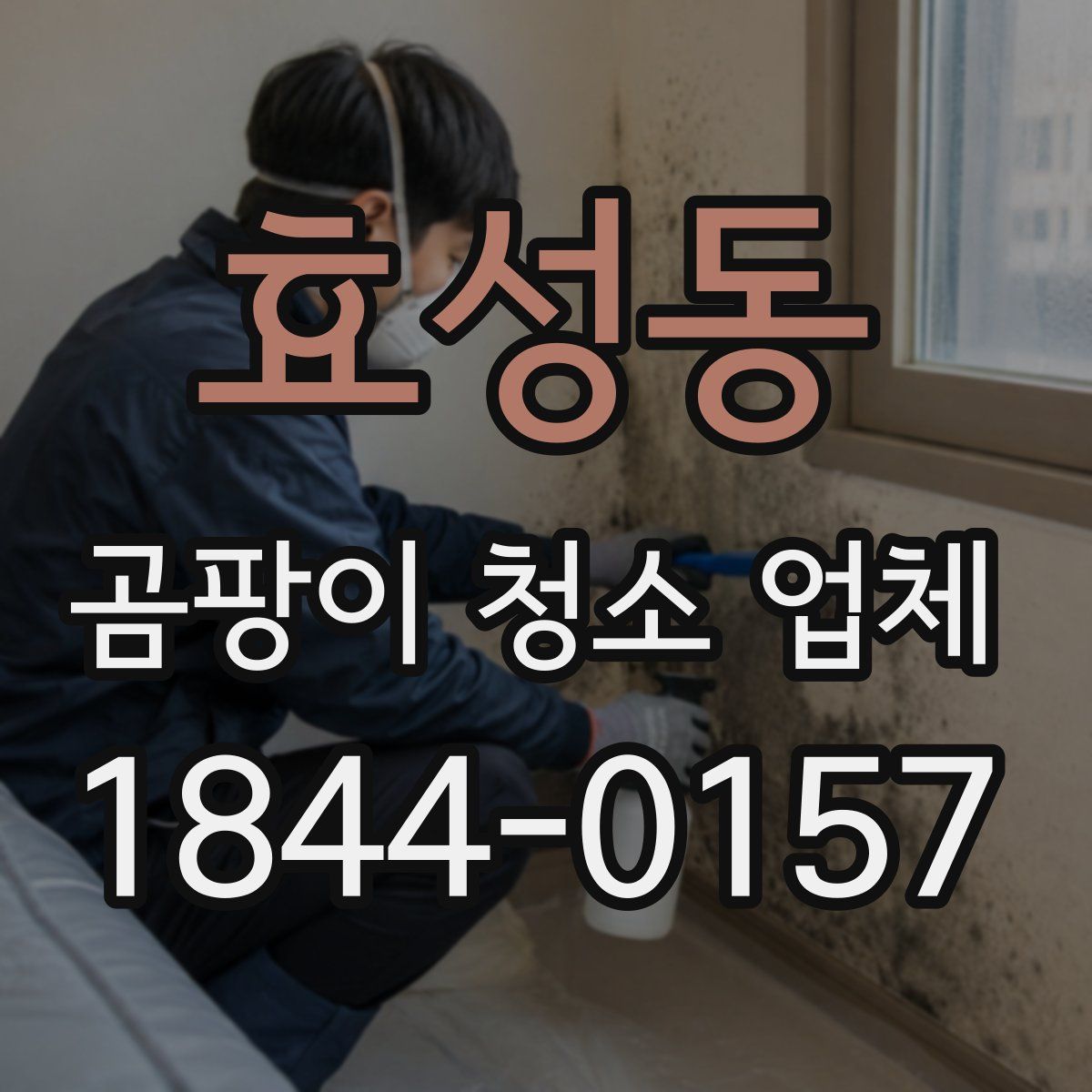 효성동 곰팡이 청소 업체