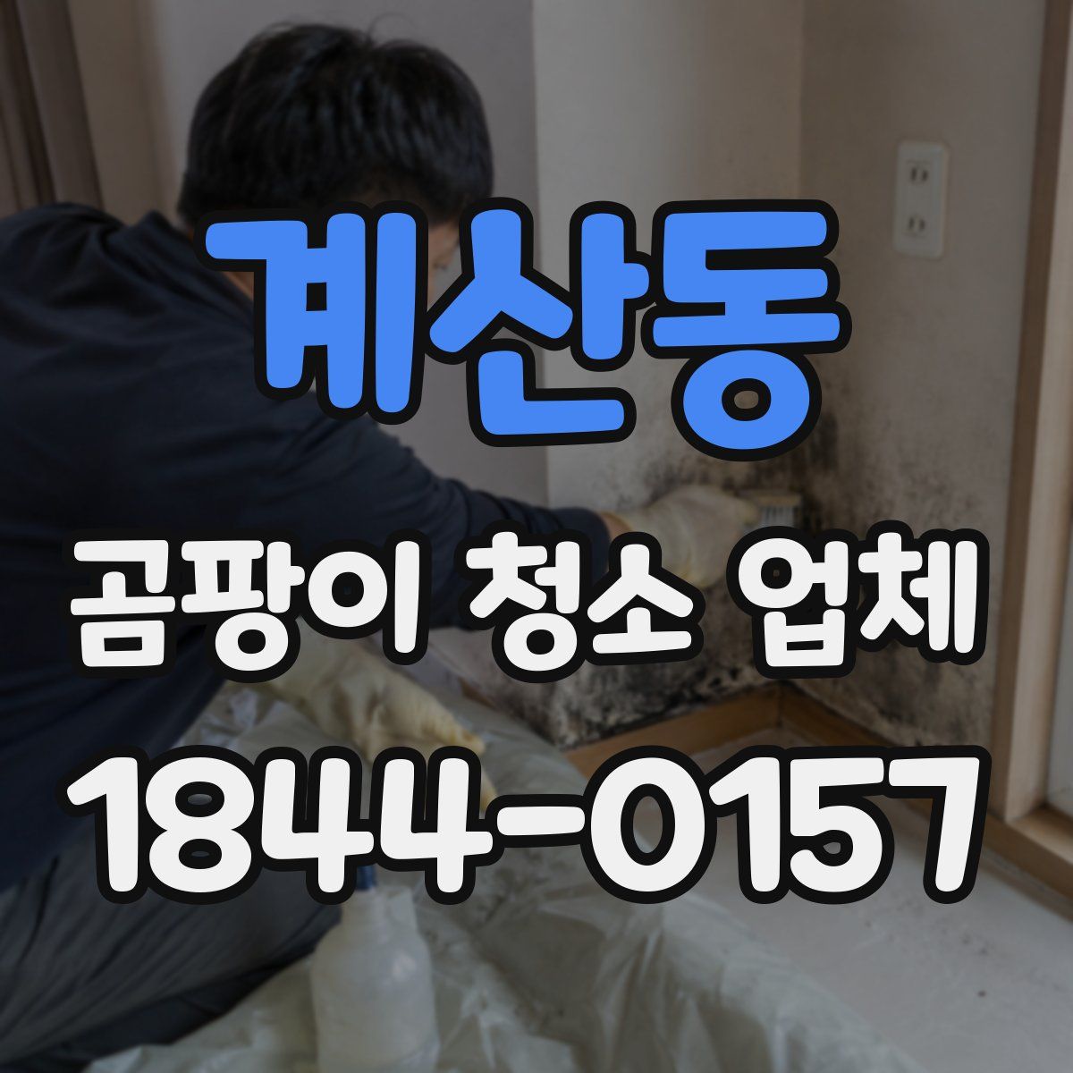 계산동 곰팡이 청소 업체