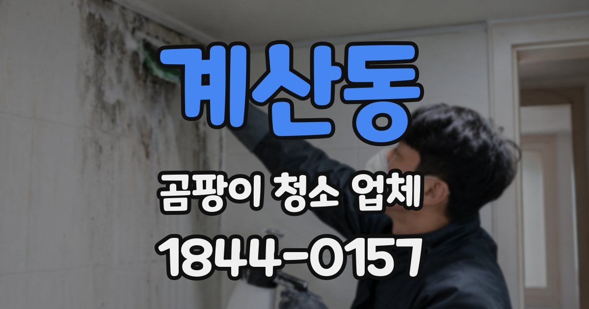계산동 곰팡이 청소 업체