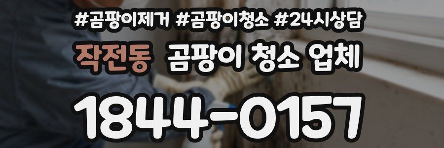 작전동 곰팡이 청소 업체